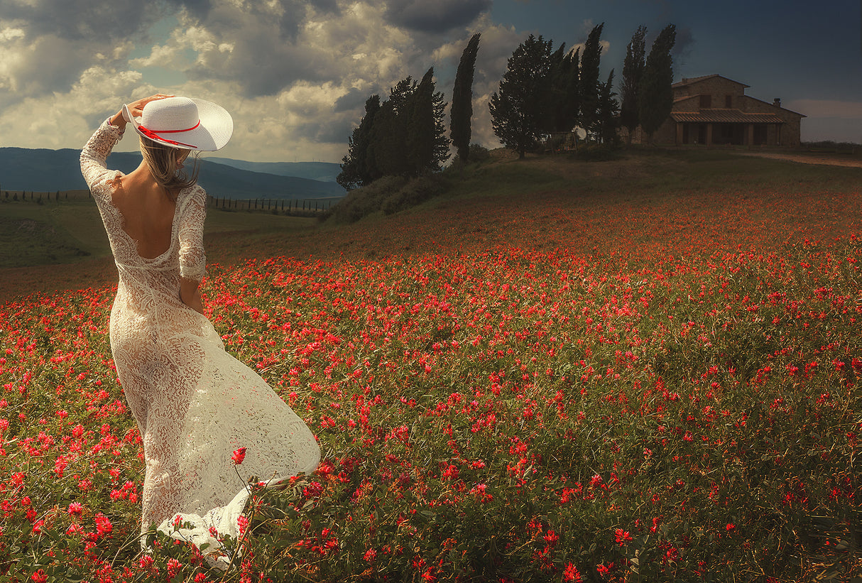WALKING IN TUSCANY Poster och Canvastavla