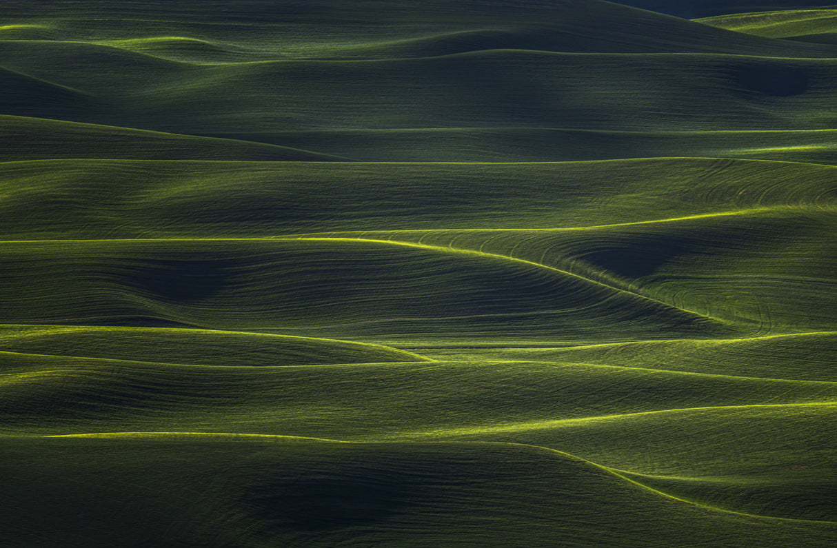Wavy Land Poster och Canvastavla