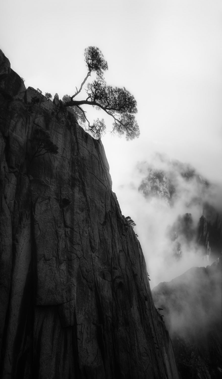 Mt. Huang Poster och Canvastavla