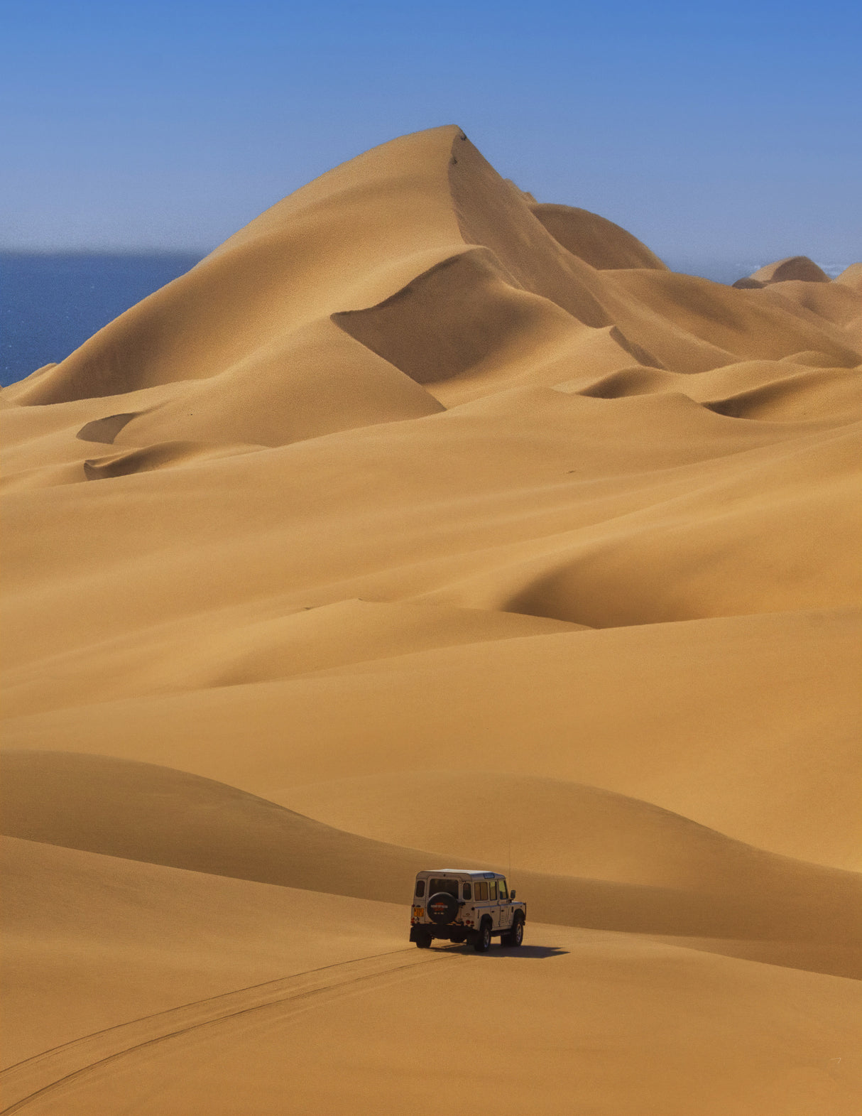 Desert Expedition Poster och Canvastavla