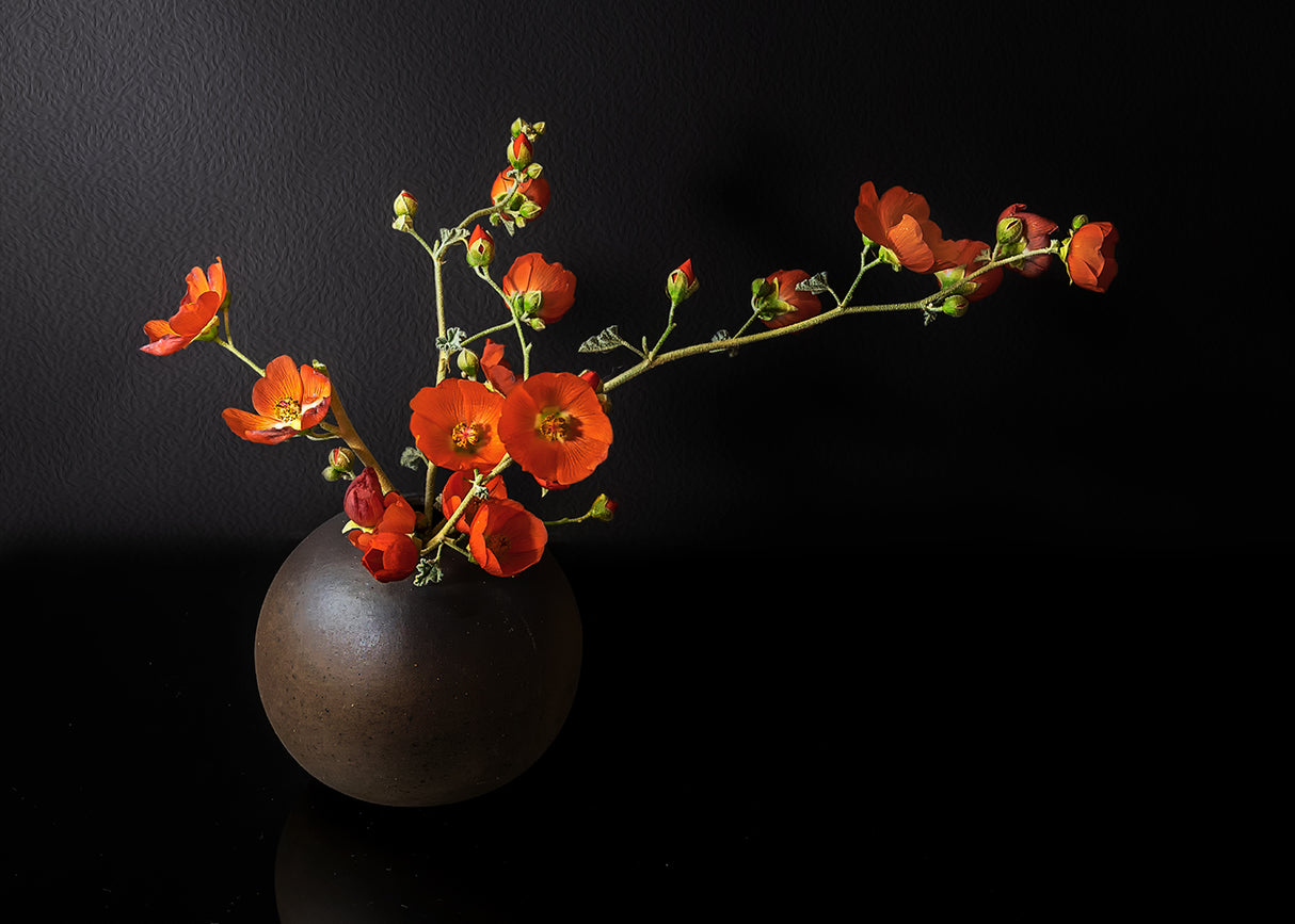 Blooming wildflowers Poster och Canvastavla