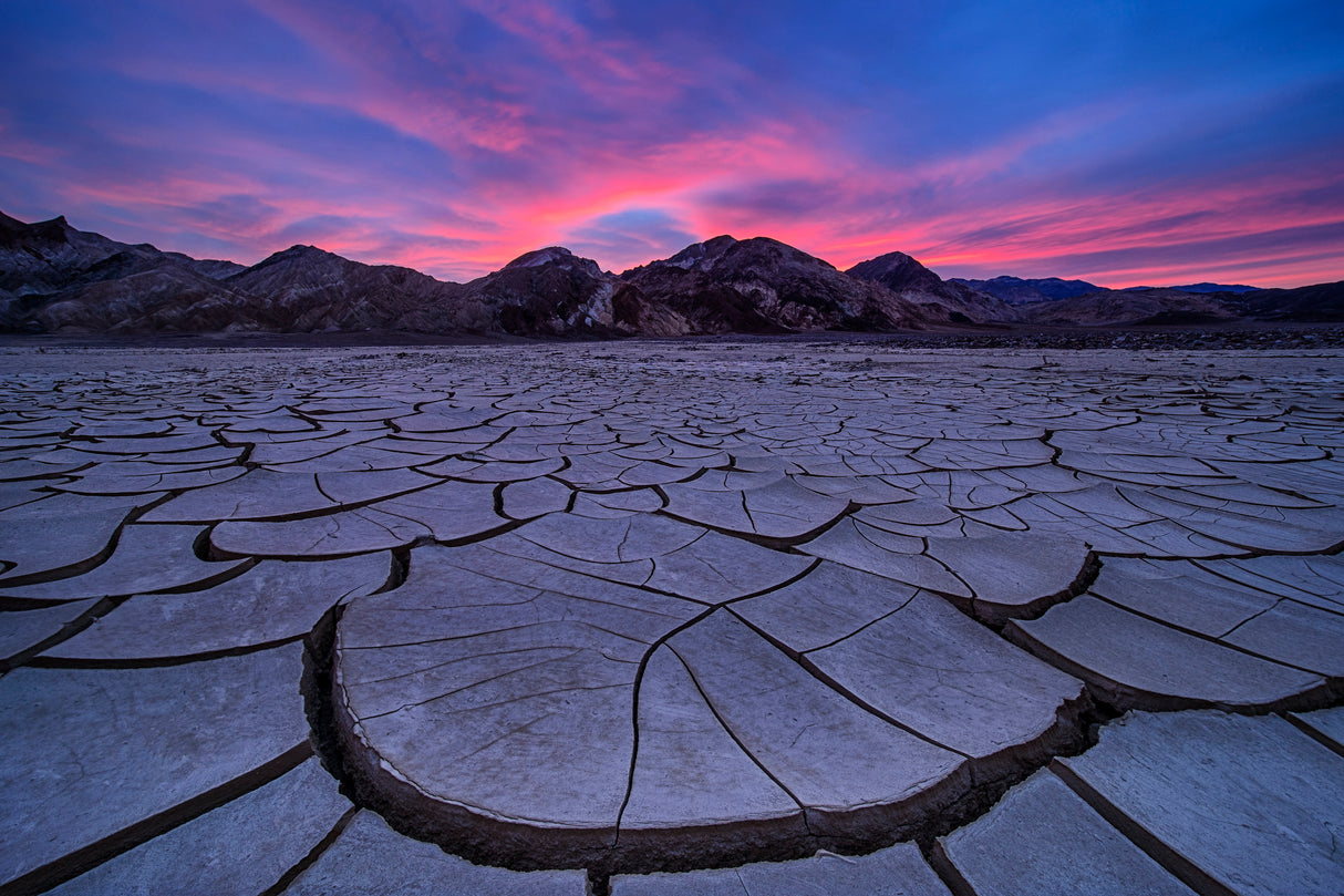 O.O. Blue Hour at Cracked Mud Field Poster och Canvastavla