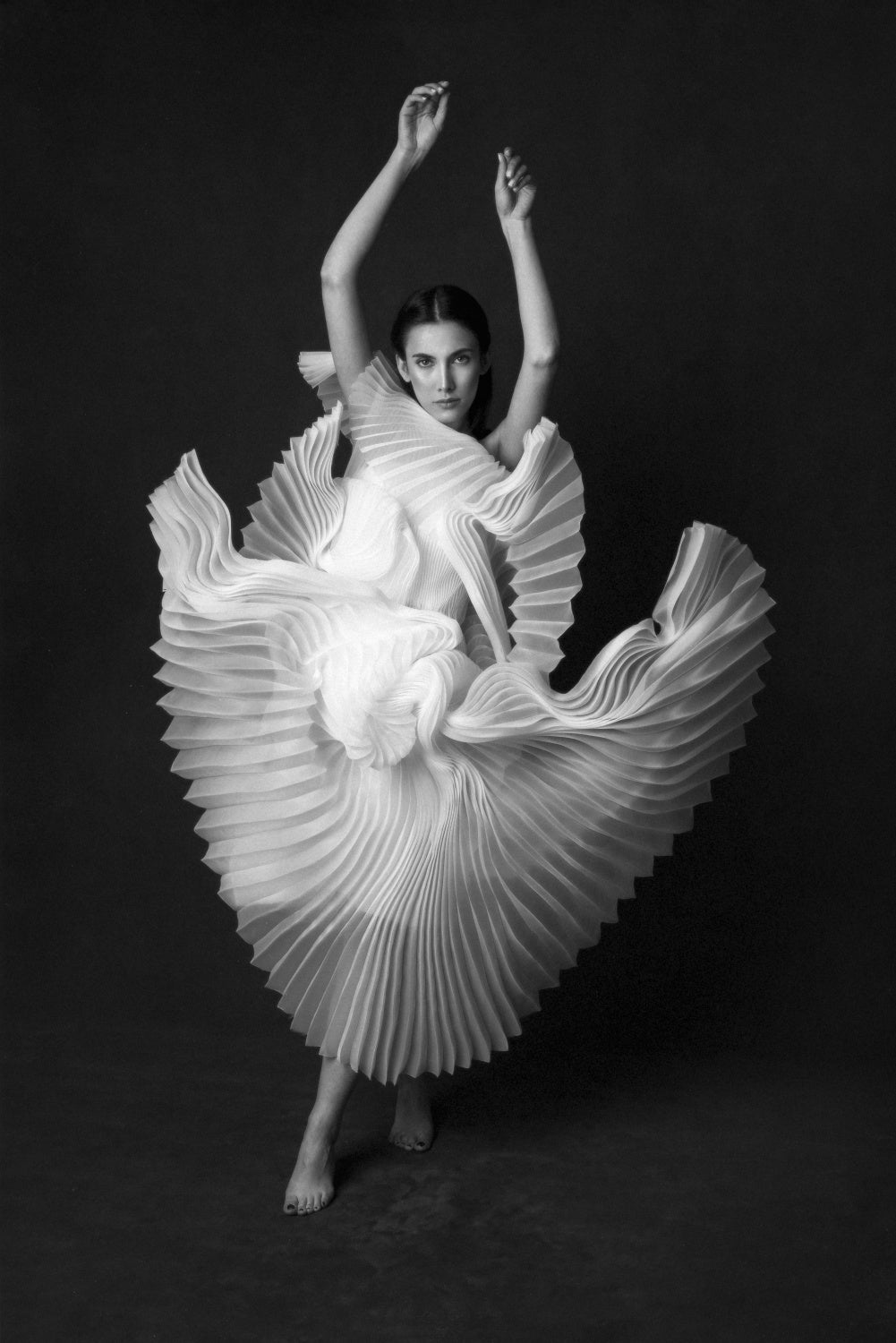 Swan Lake Poster och Canvastavla