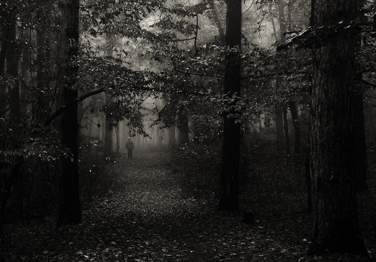 Autumn hill walk Poster och Canvastavla