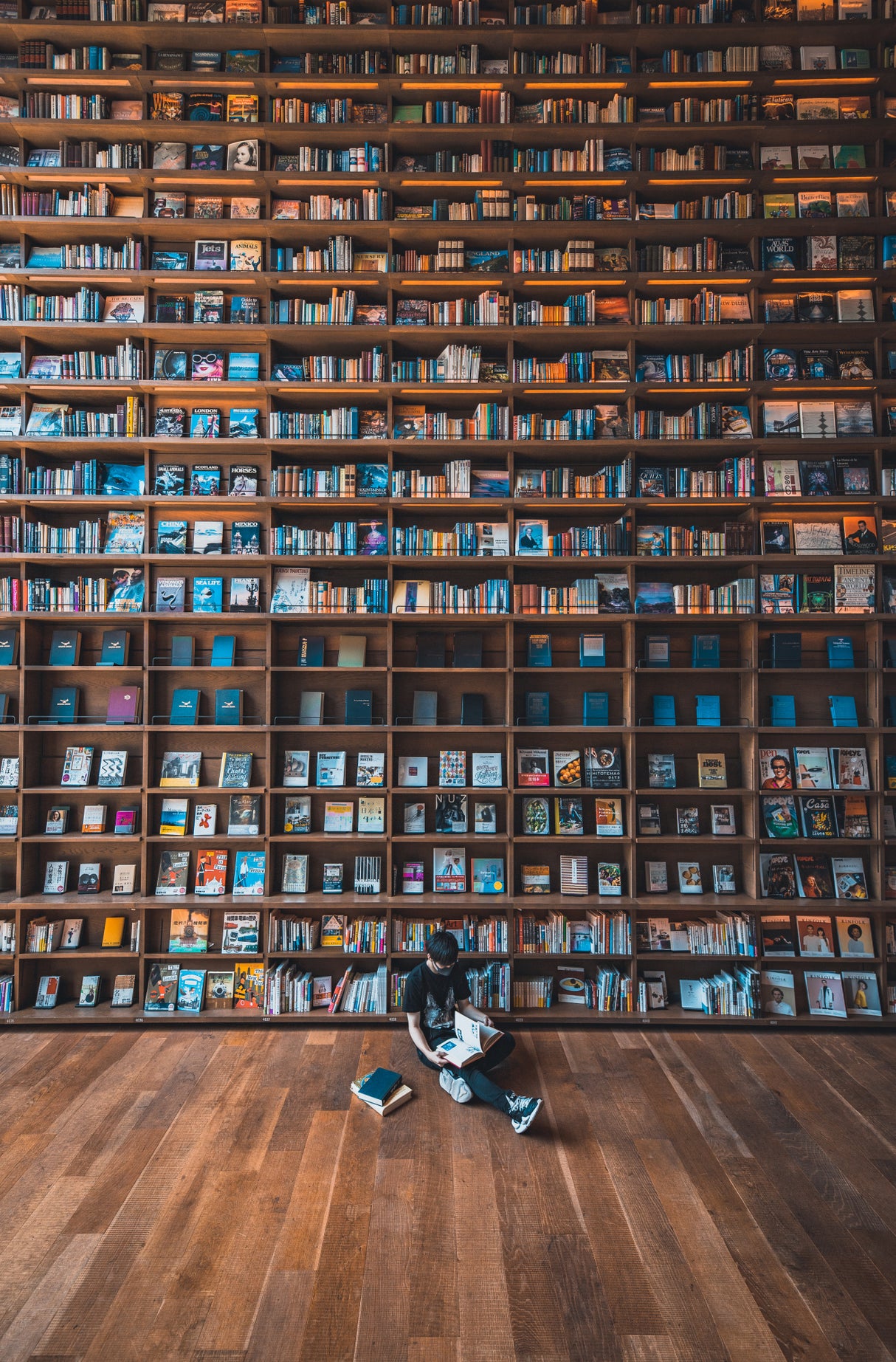 Hidden library Poster och Canvastavla
