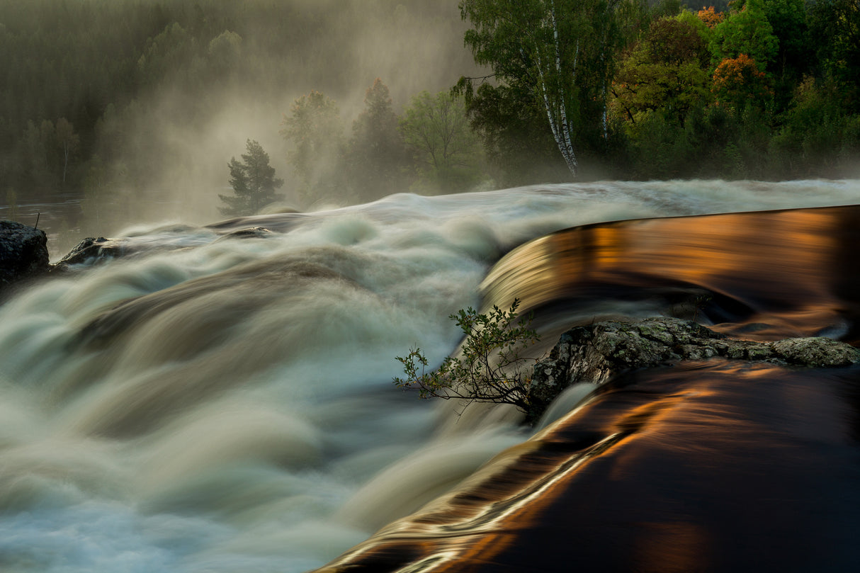 The flow Poster och Canvastavla