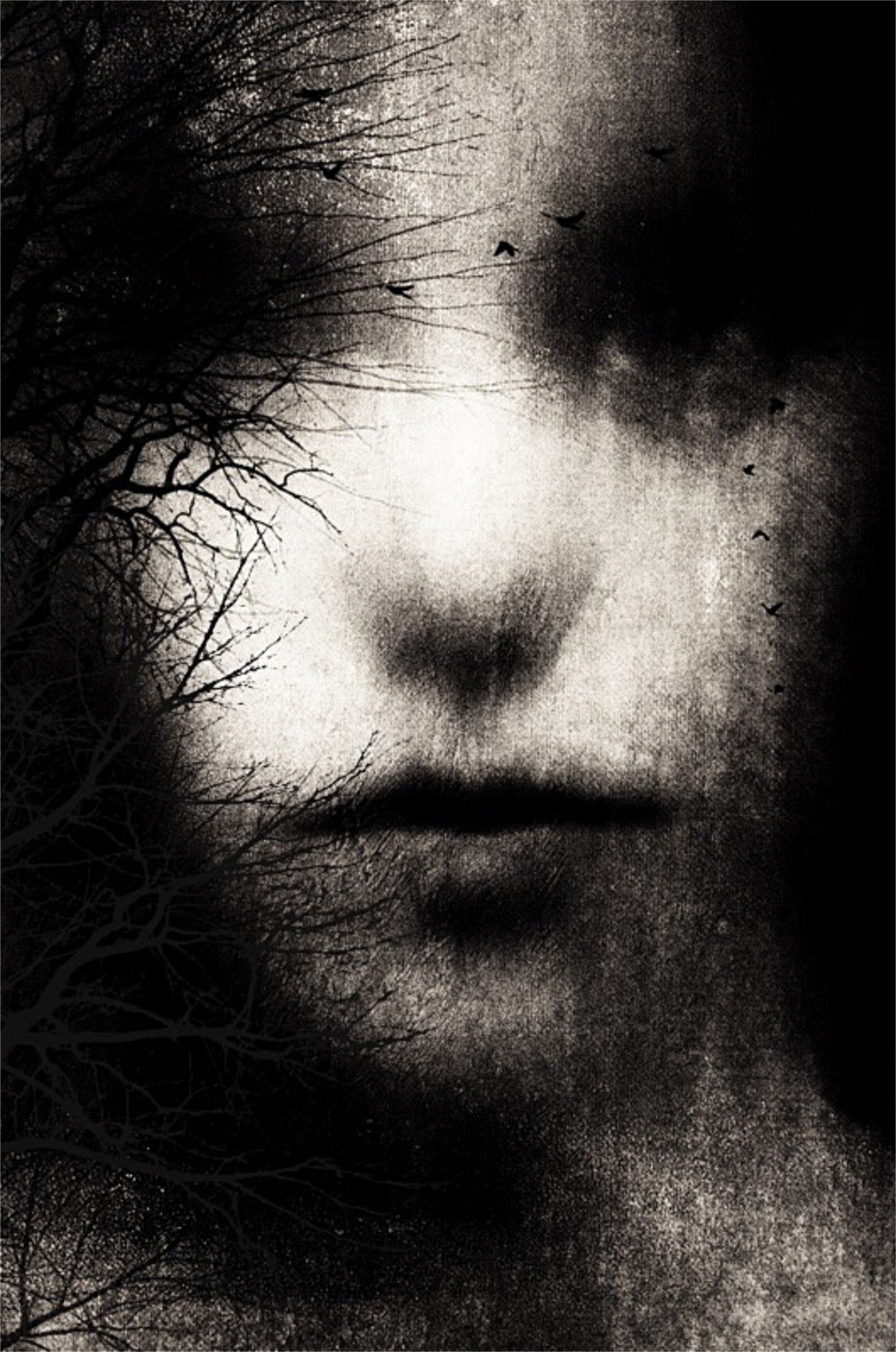 Dear darkness Poster och Canvastavla