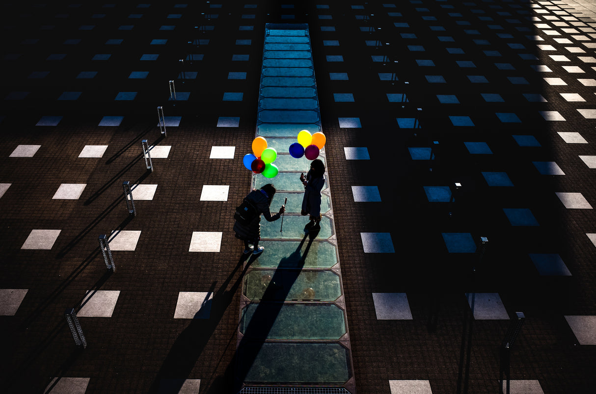 Balloons in the shadow Poster och Canvastavla