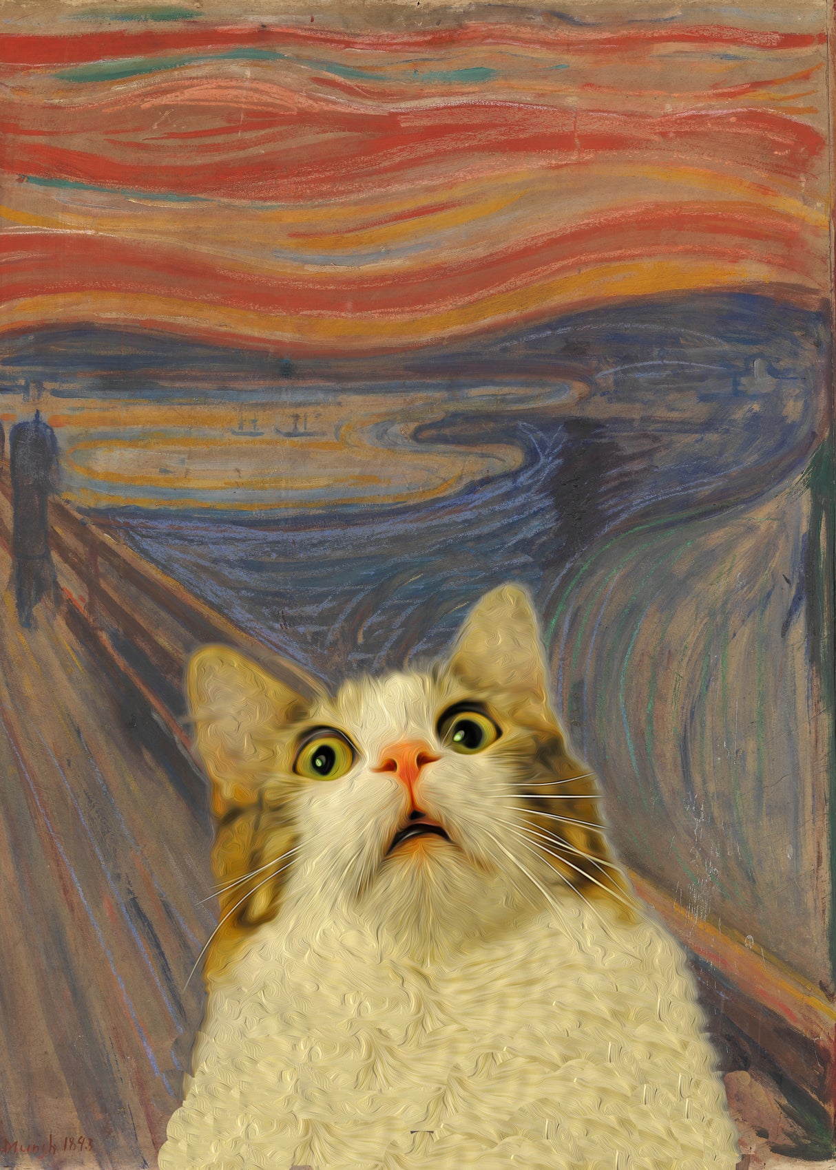 The Meow 02 Poster och Canvastavla