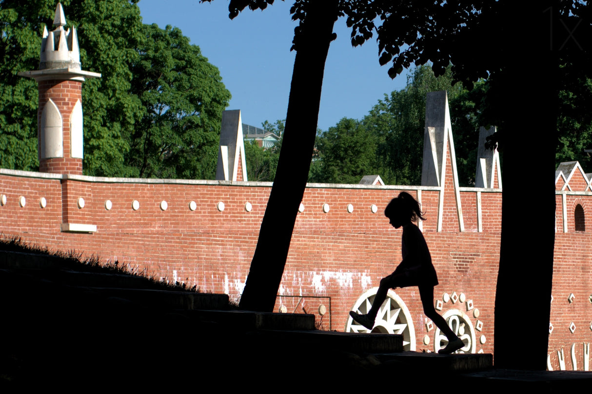 Up Poster och Canvastavla