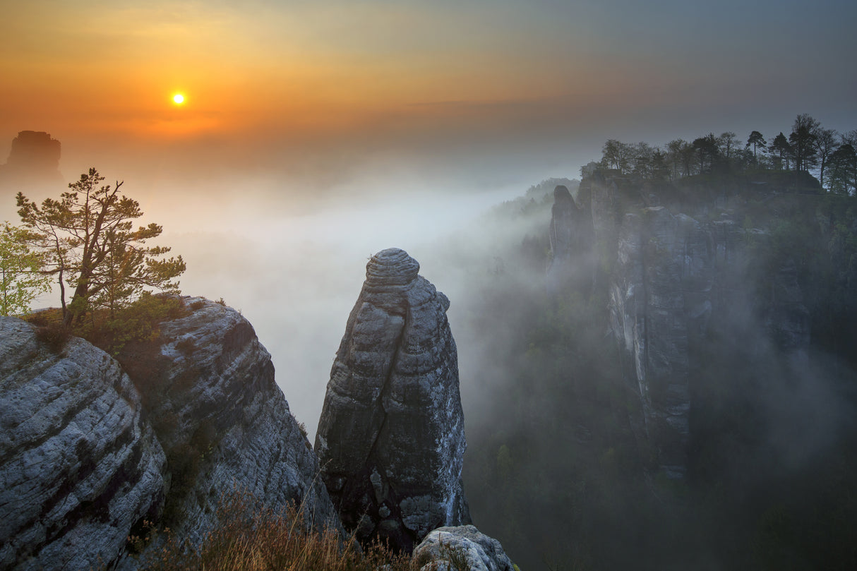 Morning mist Poster och Canvastavla