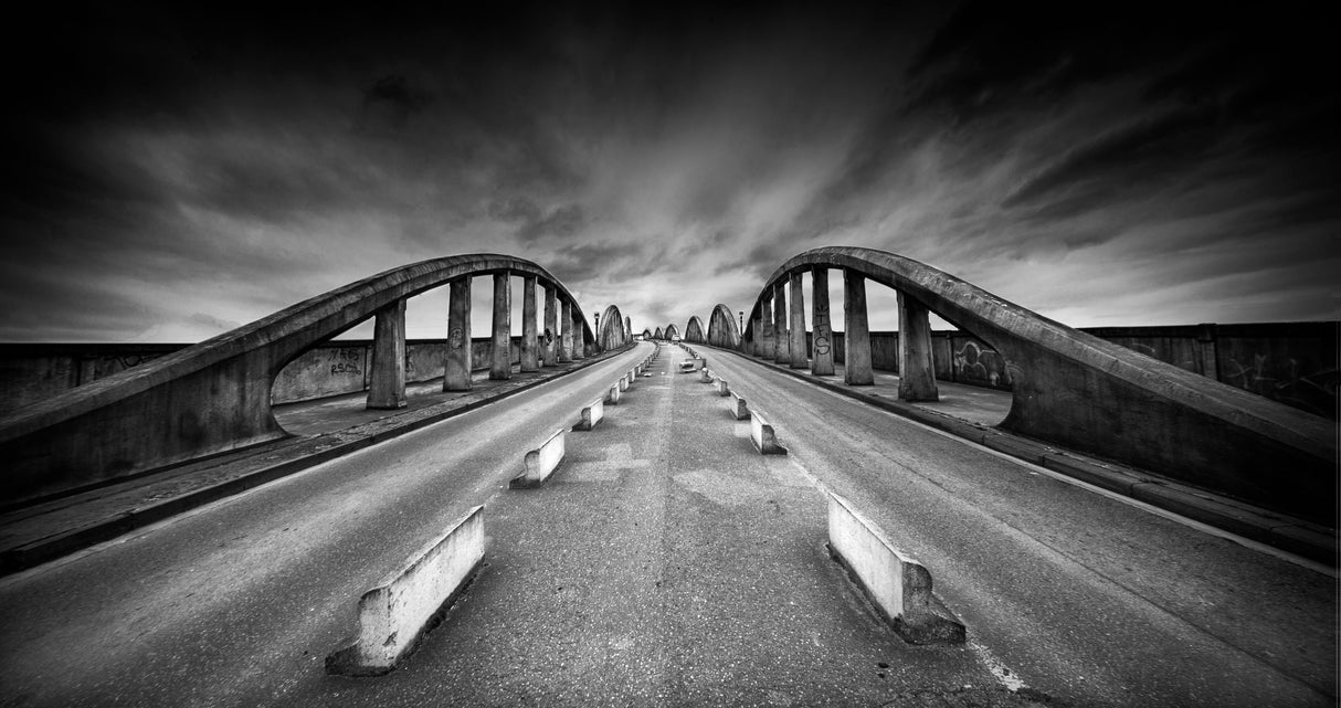 The bridge Poster och Canvastavla