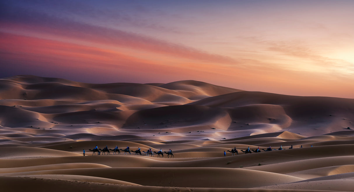 Caravan in Erg Chebbi Poster och Canvastavla