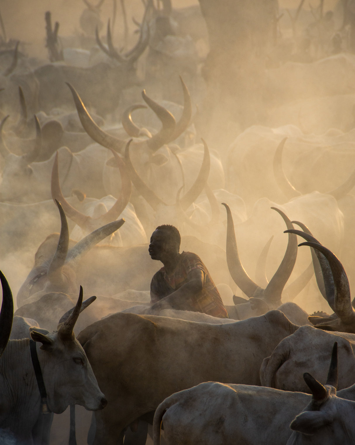 Work Amongst The Horns Poster och Canvastavla