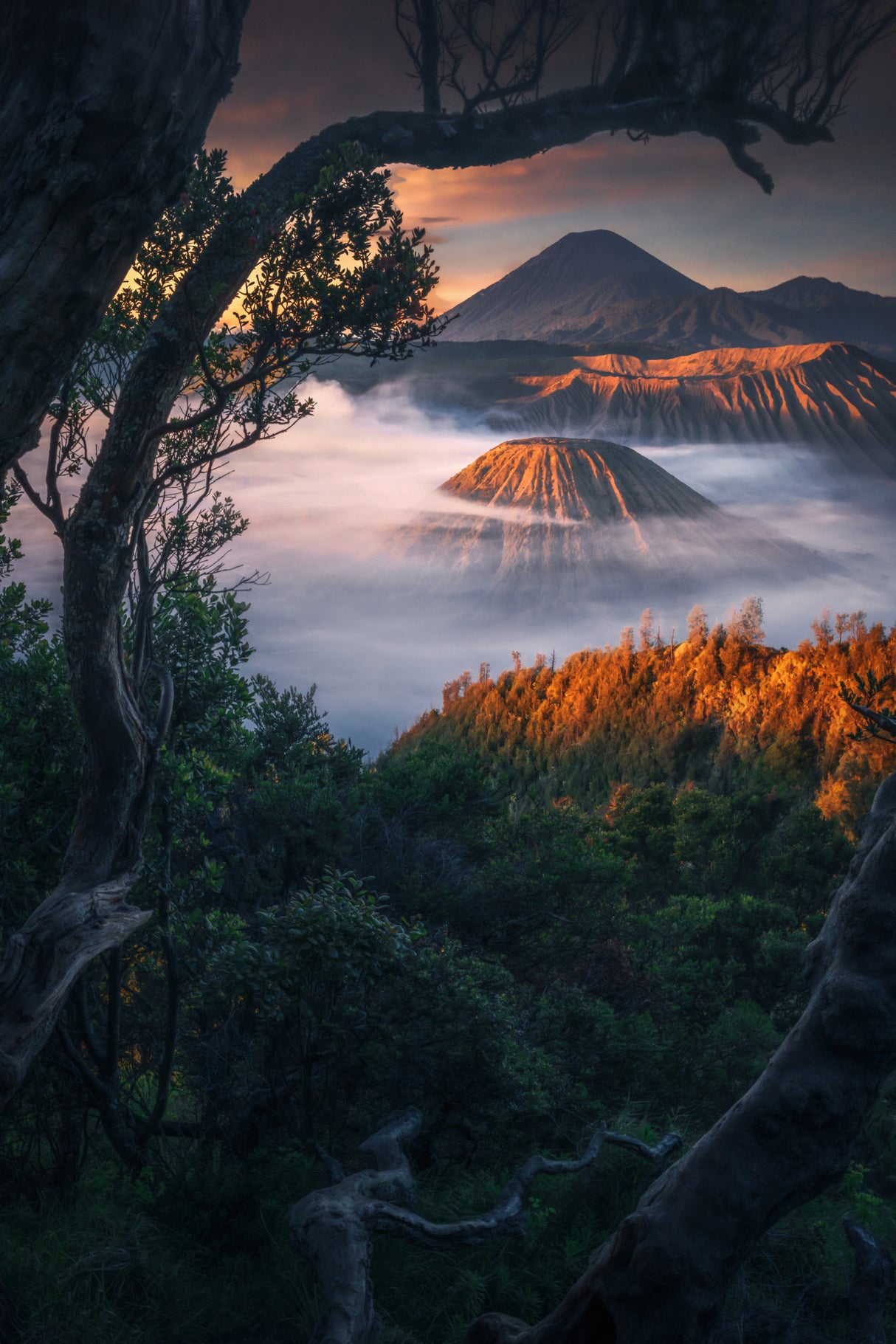 First glimpses of Mount Bromo Poster och Canvastavla