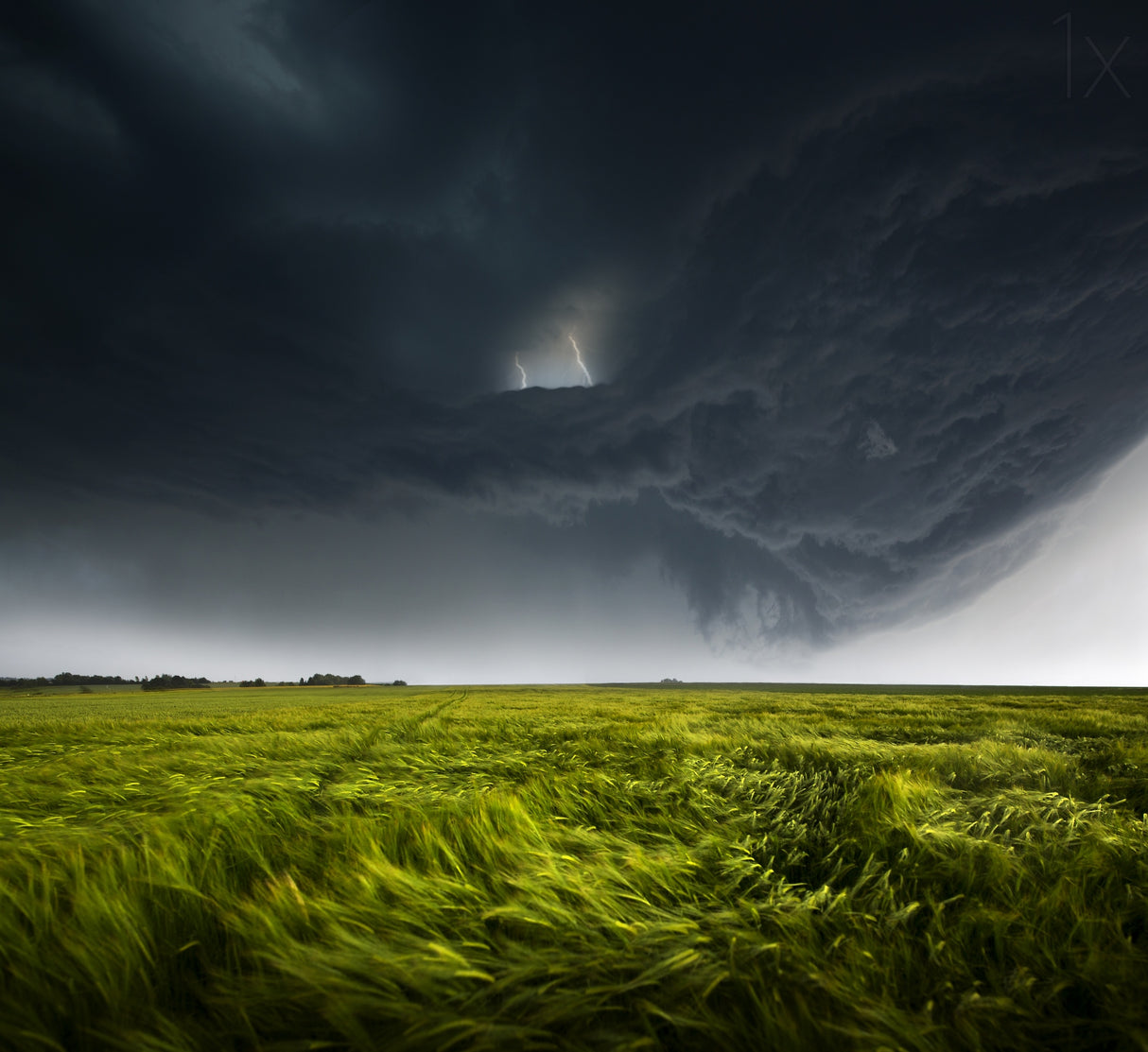 Sommergewitter_02 Poster och Canvastavla