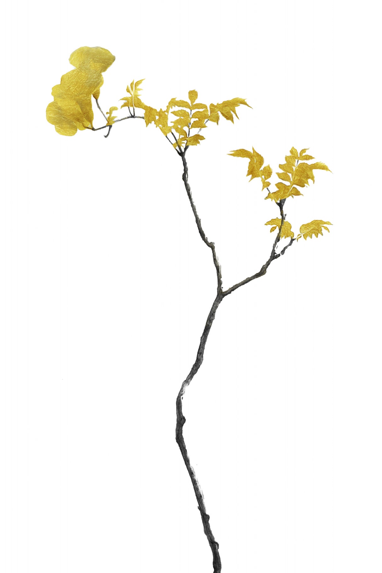Flower Minimal Black and Gold 01 Poster och Canvastavla