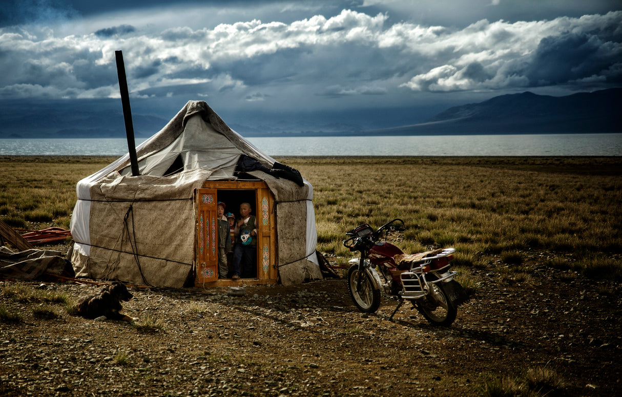 Alone in mongolian steppe Poster och Canvastavla