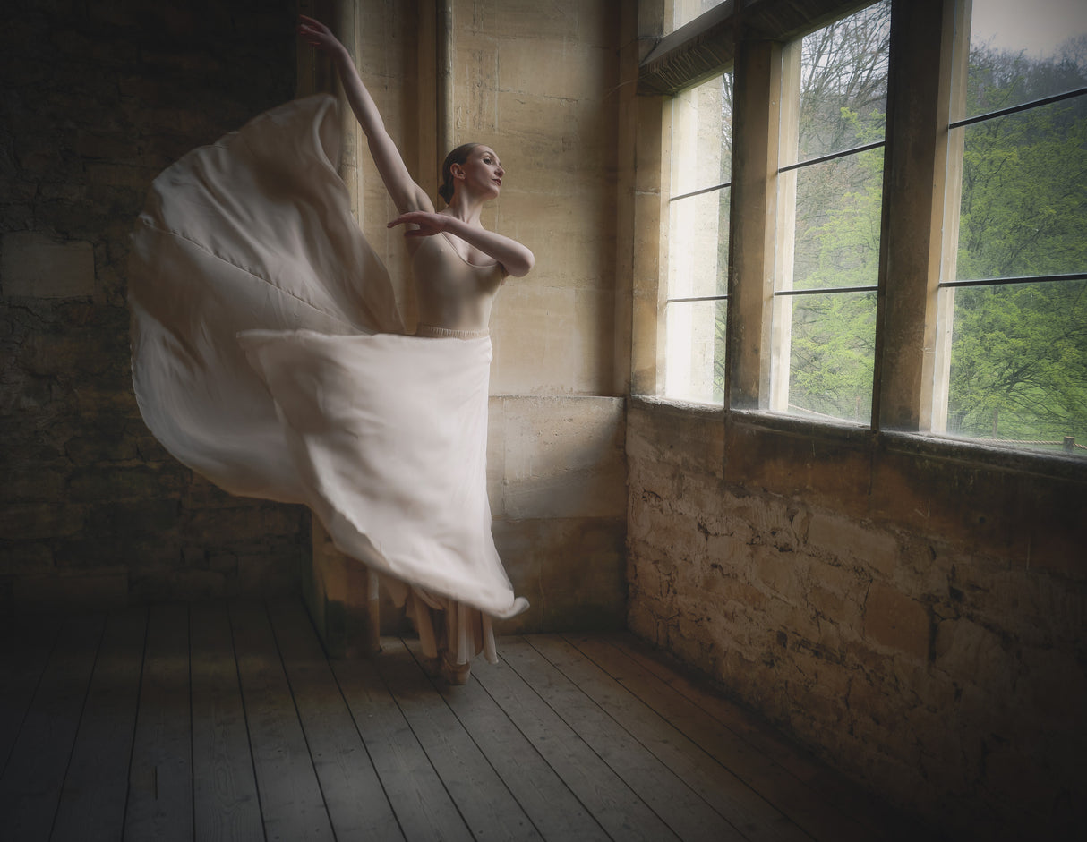 Floating Ballerina Poster och Canvastavla