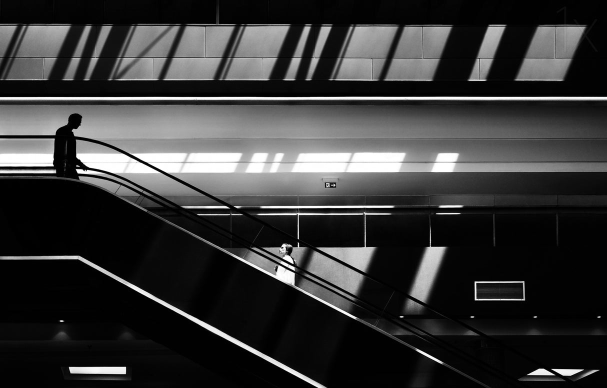 Contrasts Poster och Canvastavla