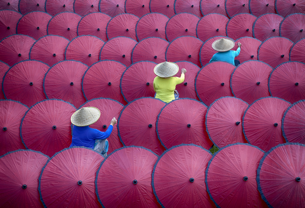 Paint Umbrellas Together Poster och Canvastavla
