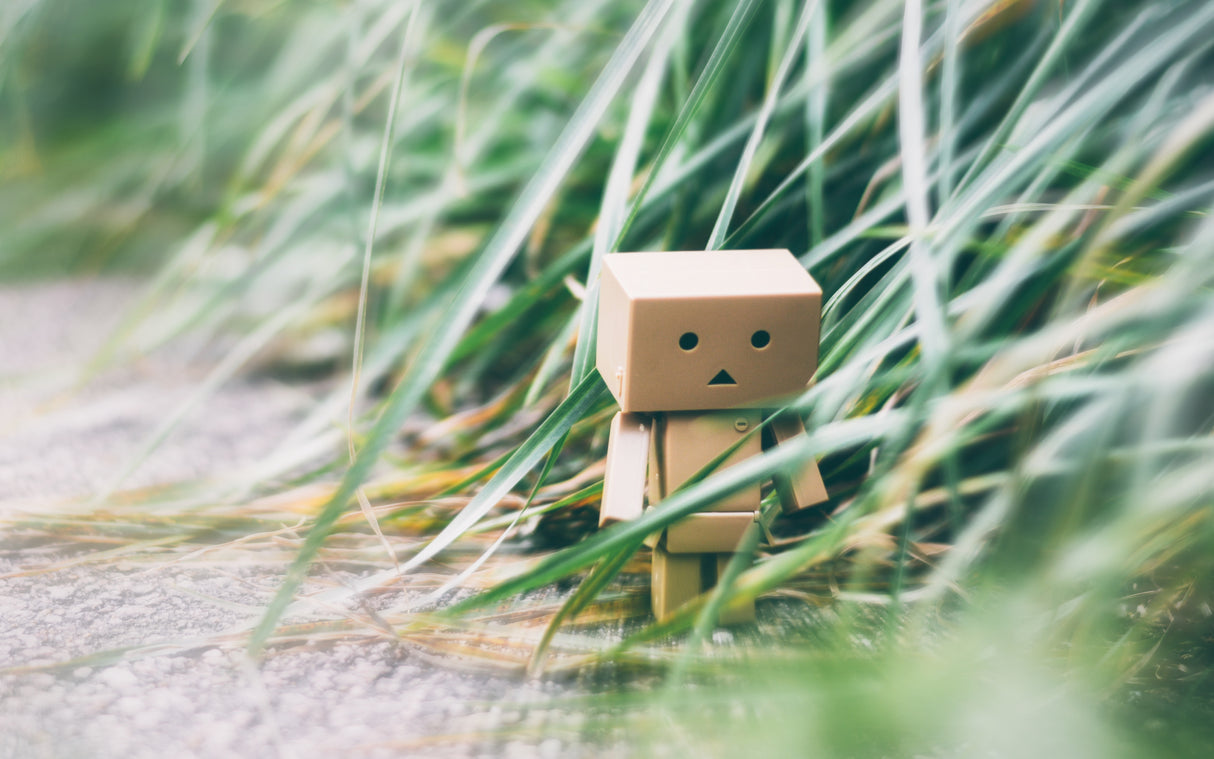 Danbo on a Walk Poster och Canvastavla