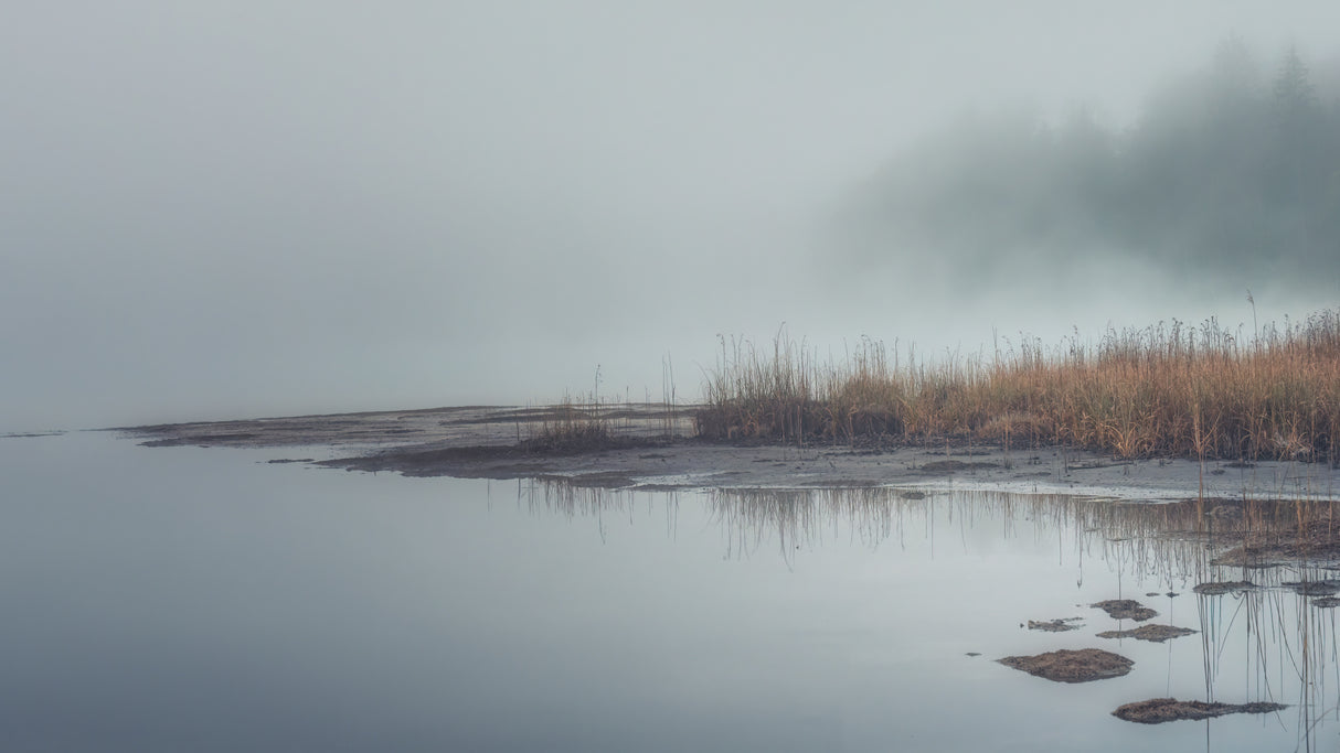 Autumn Mood Poster och Canvastavla