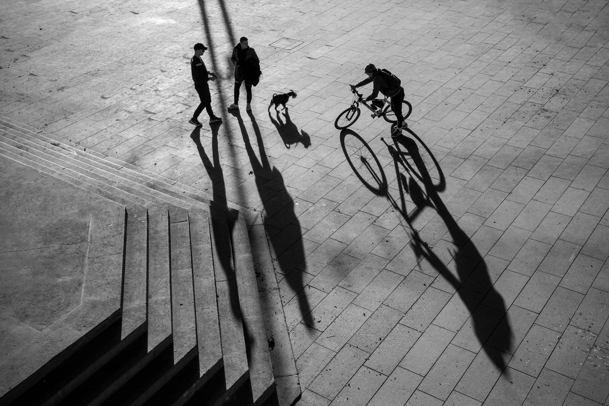 Two mans dog and cyclist Poster och Canvastavla