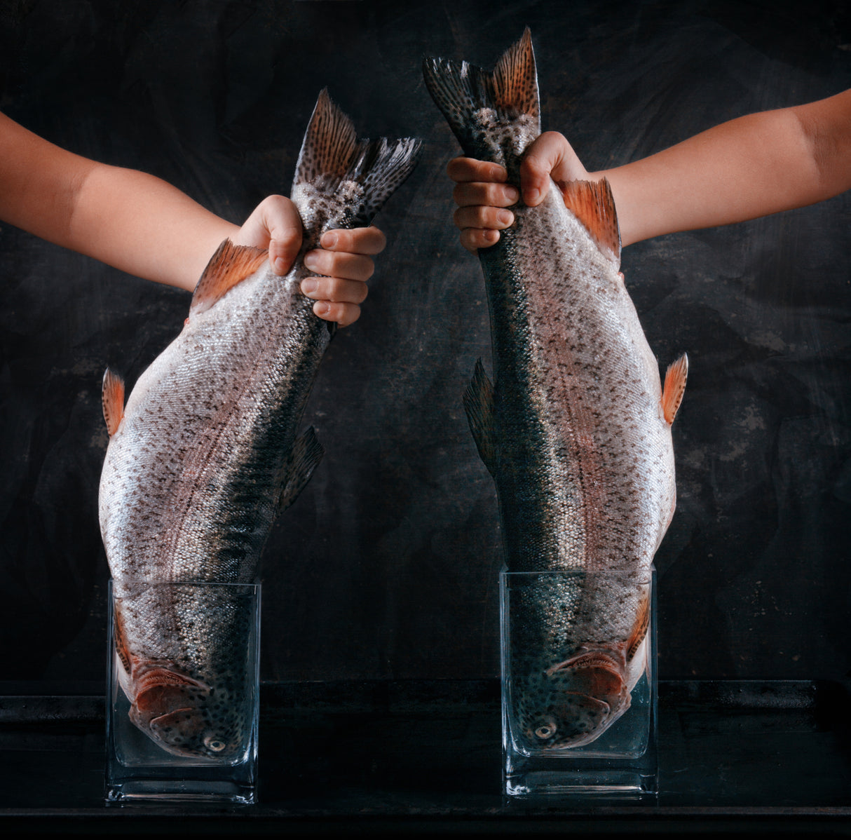 BIG FISH Poster och Canvastavla