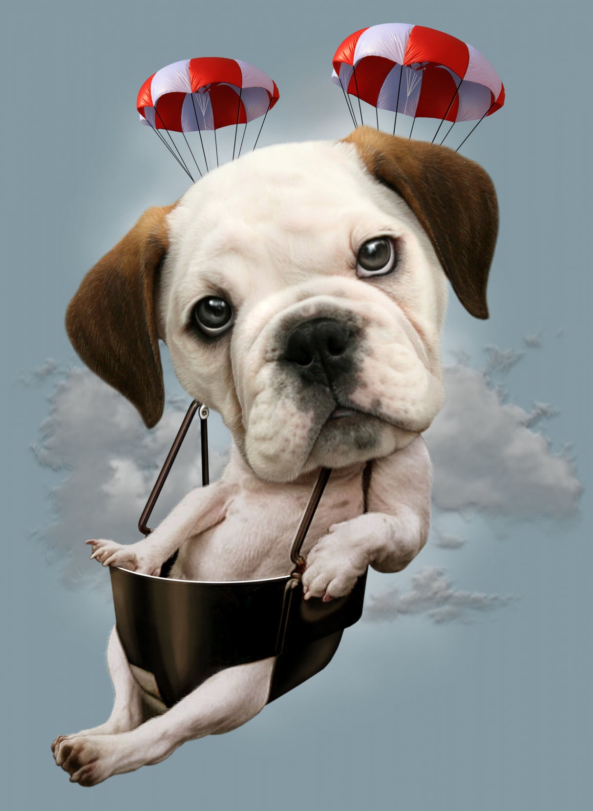 puppy on parachute Poster och Canvastavla