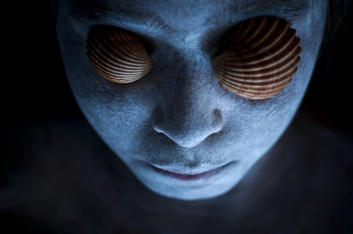 Siren Poster och Canvastavla