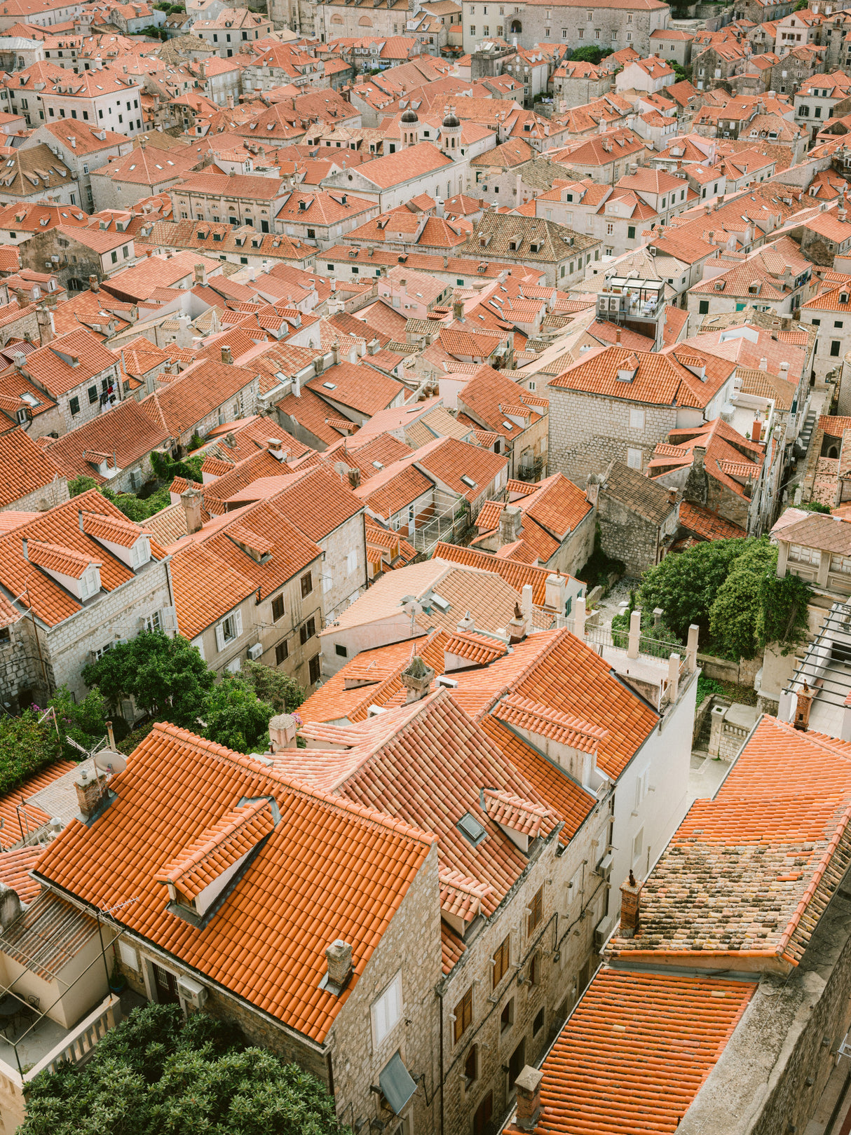 Roofs of Dubrovnik Poster och Canvastavla