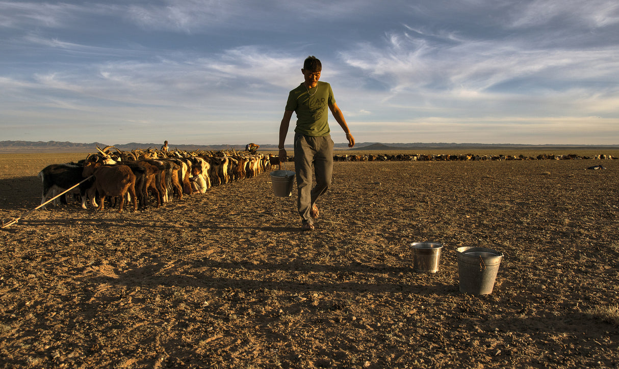 Gobi desert Poster och Canvastavla