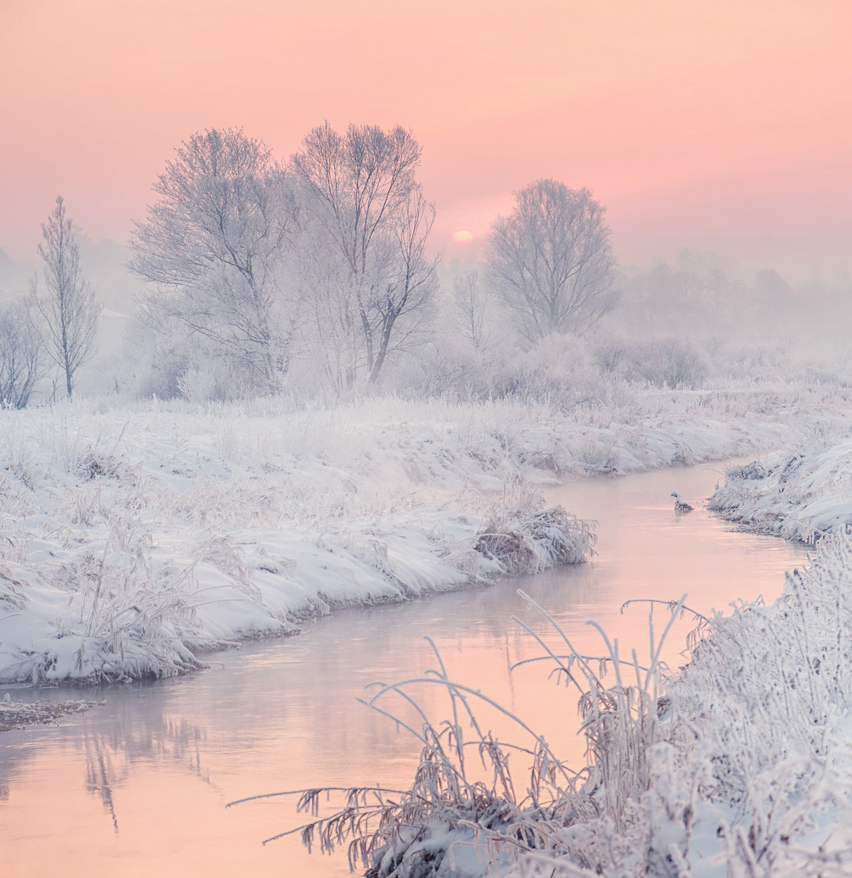 road to the sun Poster och Canvastavla