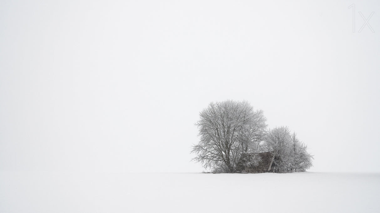 Winter silence Poster och Canvastavla