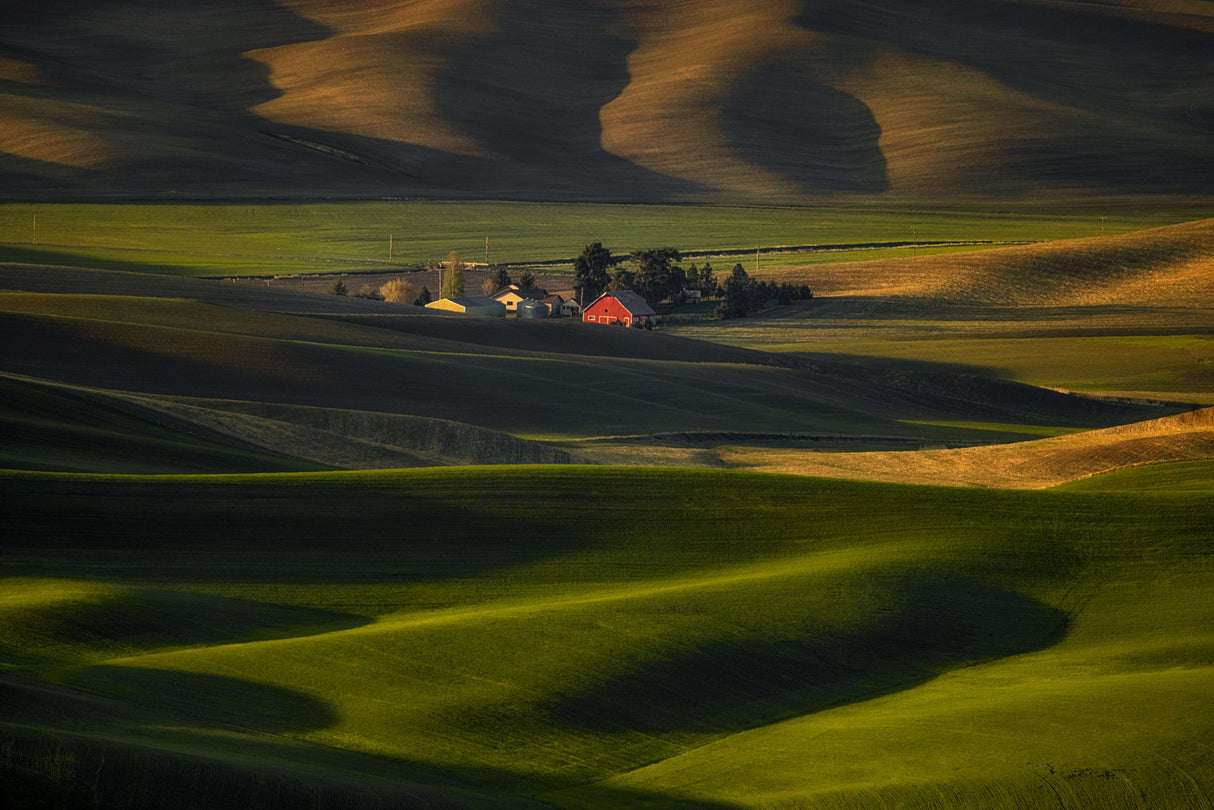 Spring Arrives in the Wheatfield Poster och Canvastavla