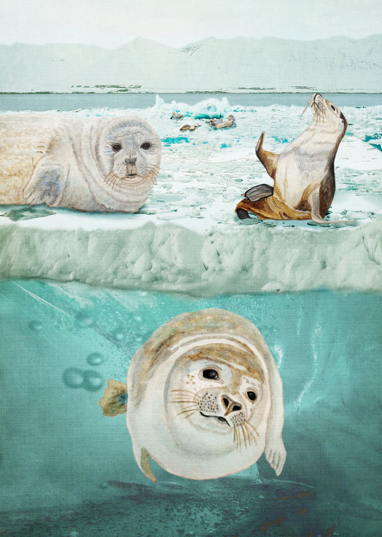 Arctic Expedition Poster och Canvastavla