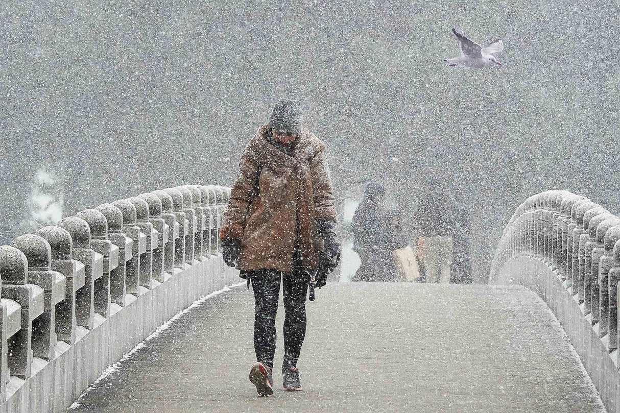 Snowstorm Bridge Poster och Canvastavla