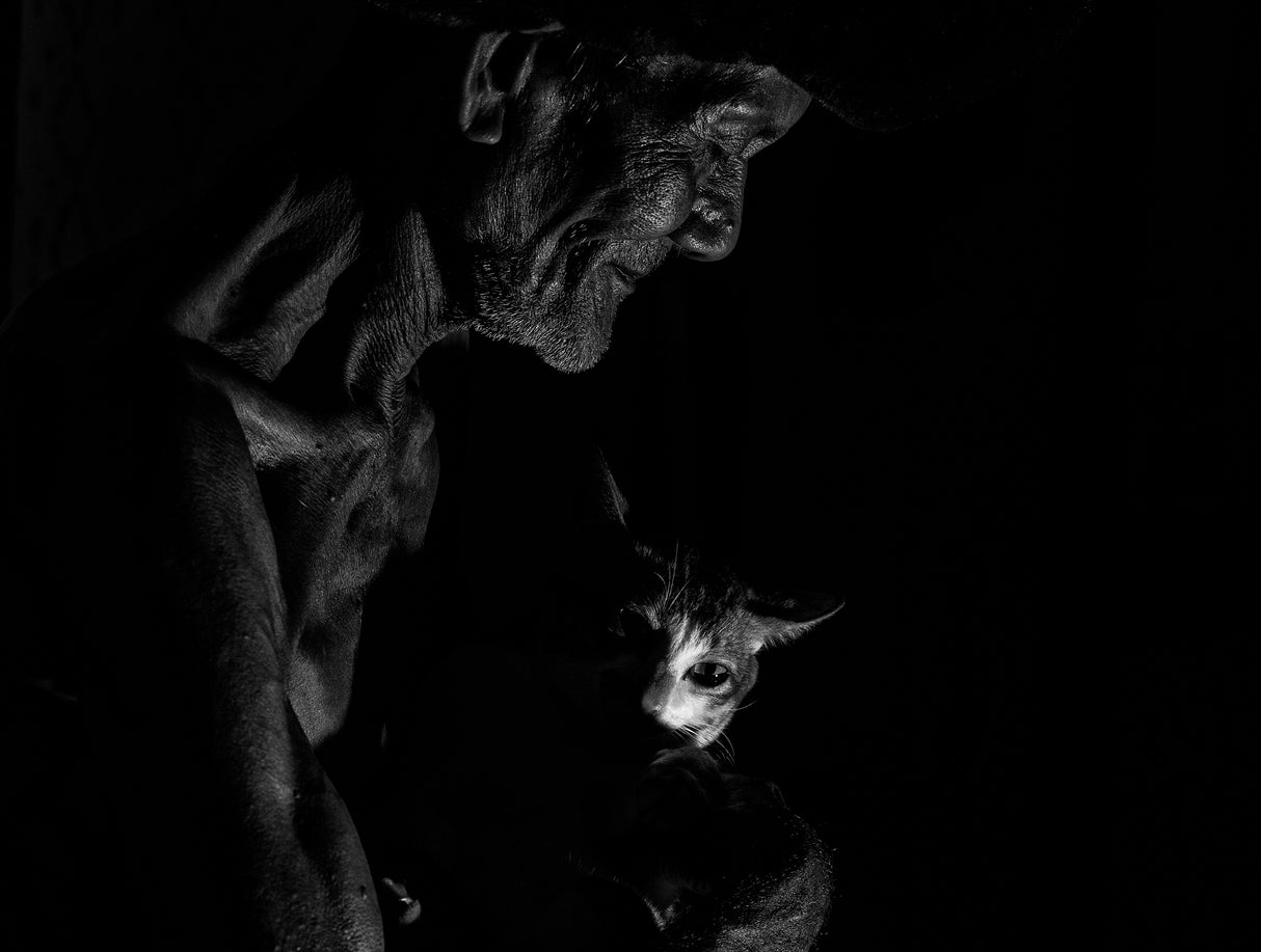 The Old Man and His Cat Poster och Canvastavla