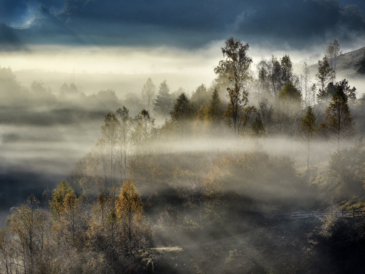 Misty morning Poster och Canvastavla