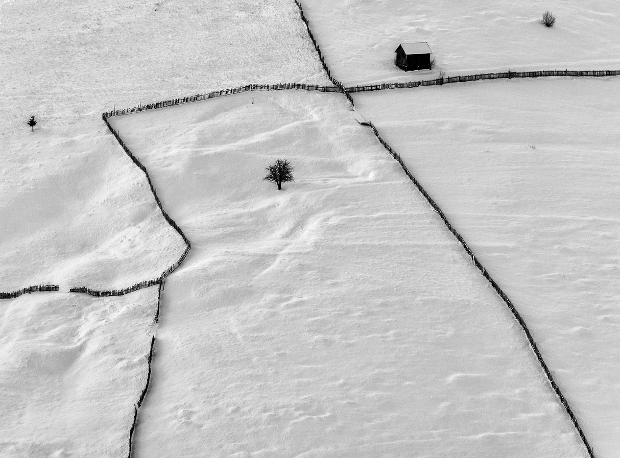 winter Poster och Canvastavla