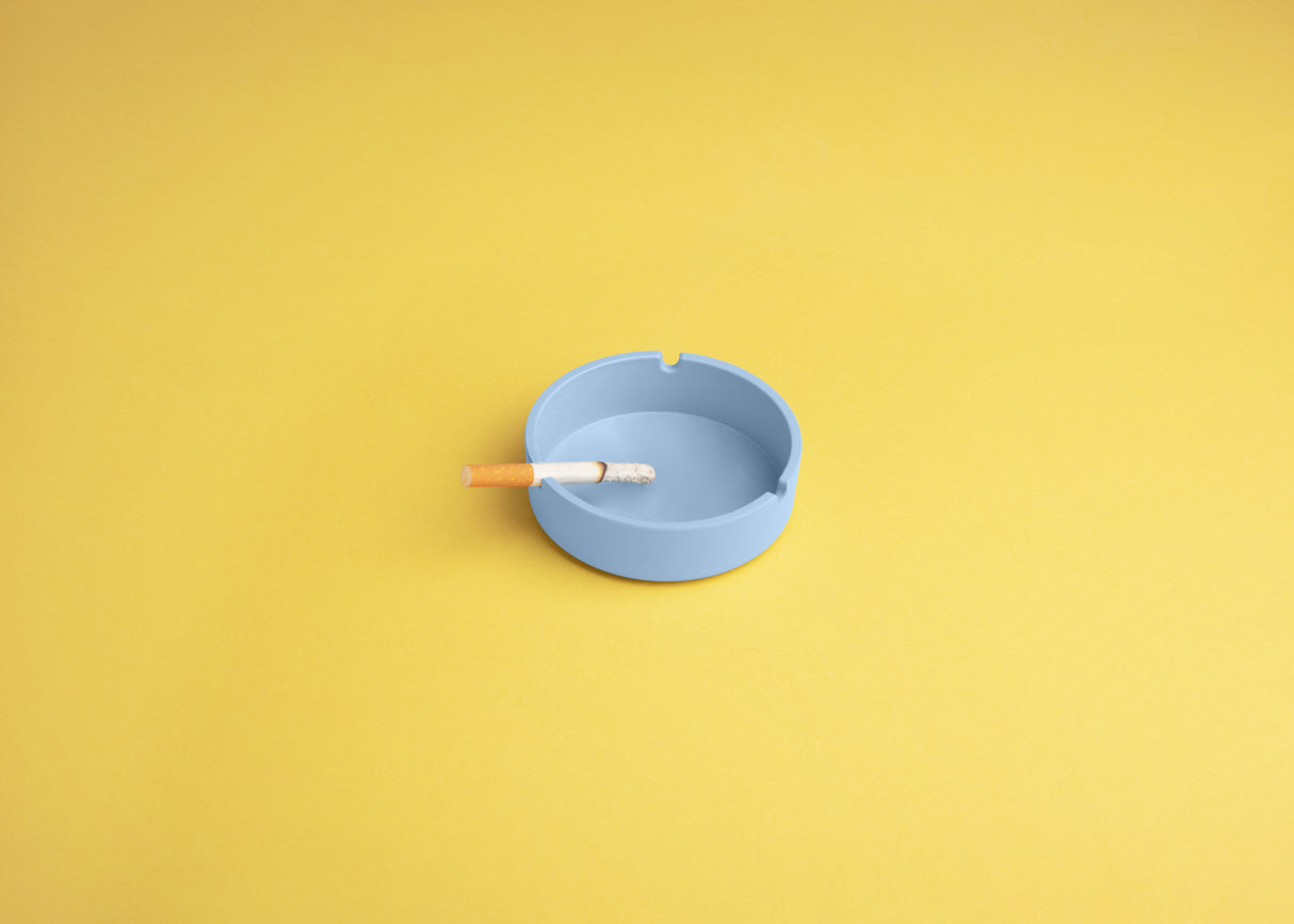 Ashtray Poster och Canvastavla