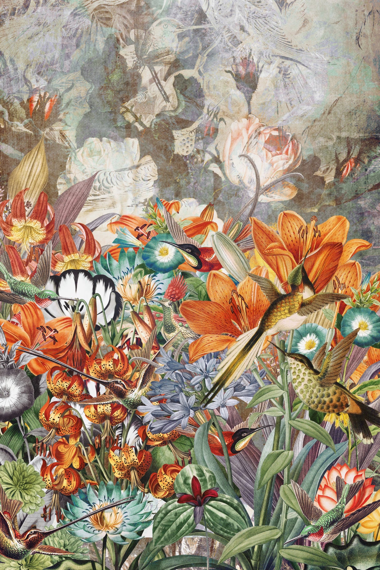 Charm of Hummingbirds (Collective Nouns) Poster och Canvastavla