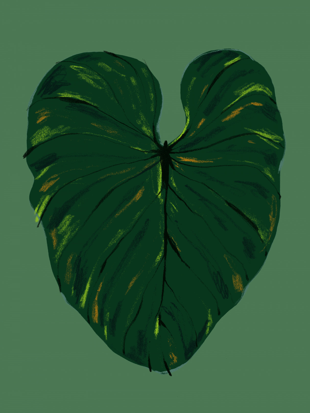 Philodendron Gloriosum Green Poster och Canvastavla