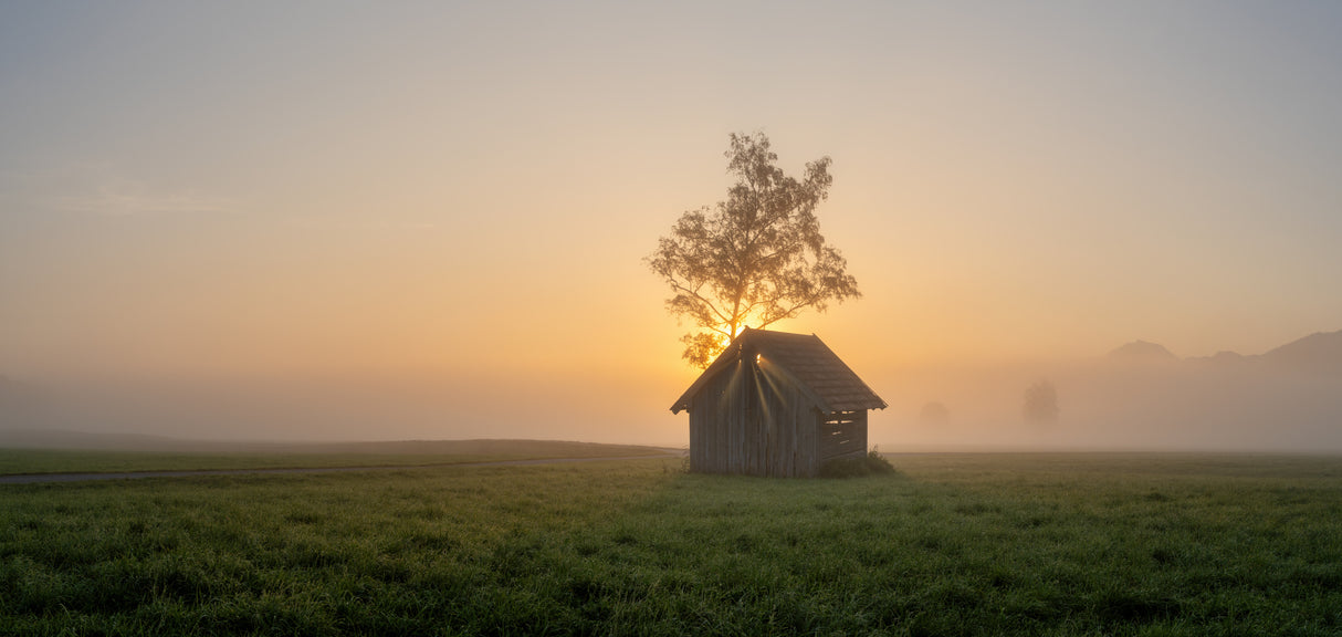Dawn Poster och Canvastavla