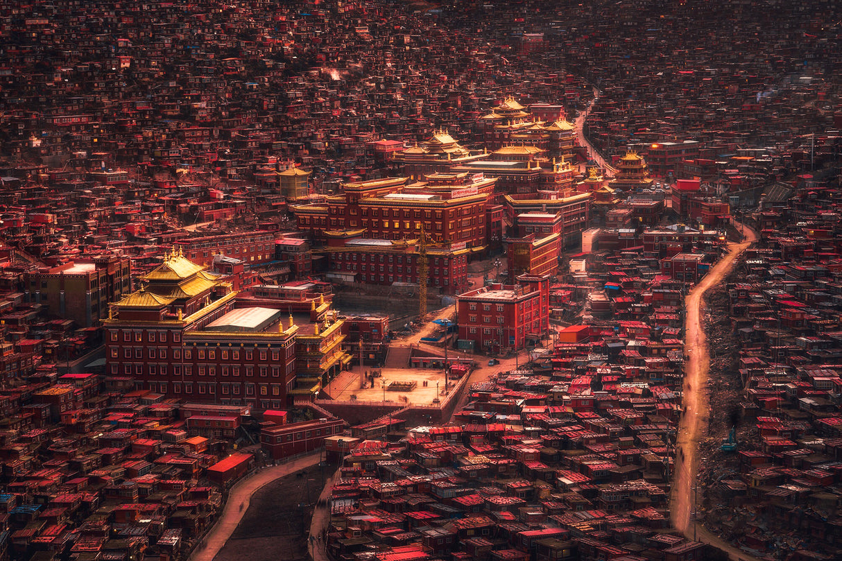 The Buddha domain Poster och Canvastavla