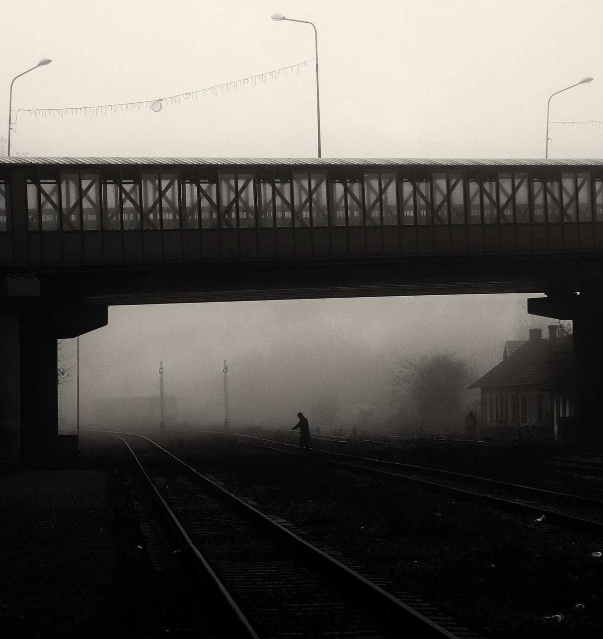 Monday foggy Poster och Canvastavla