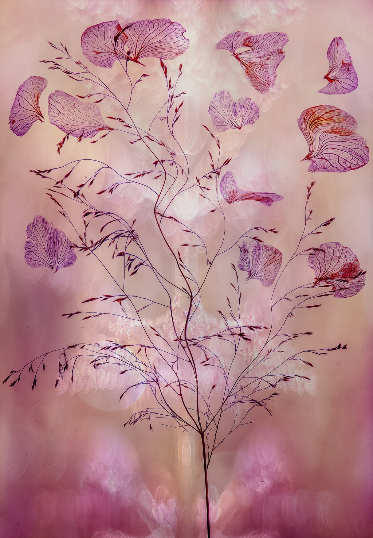 fragility Poster och Canvastavla