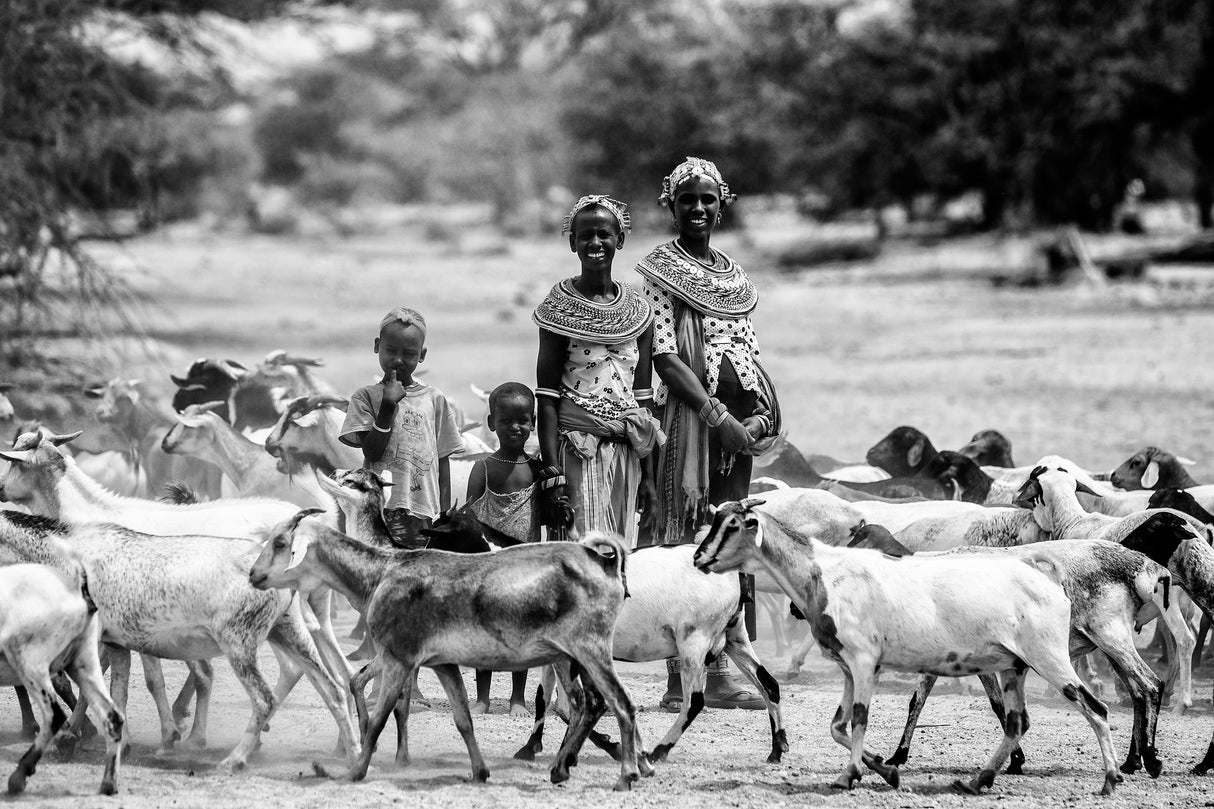 Samburu family Poster och Canvastavla