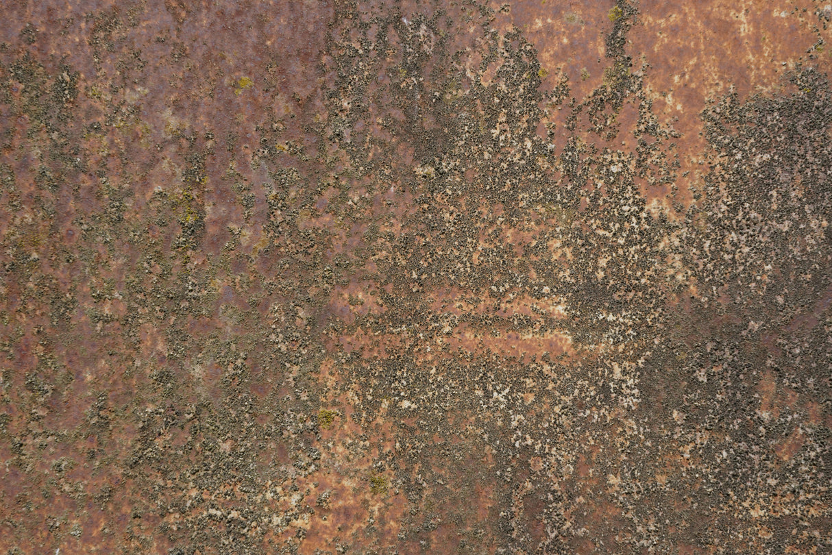 Rust 25 Poster och Canvastavla